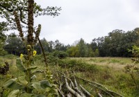 Utrechts Landschap nieuwe eigenaar van Harlanterrein bij Zeist