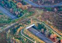 Investering in natuurnetwerk Utrechtse Heuvelrug loont