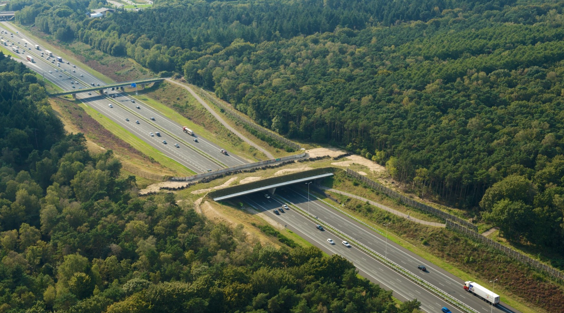 Luchtfoto Sterrenberg (1)