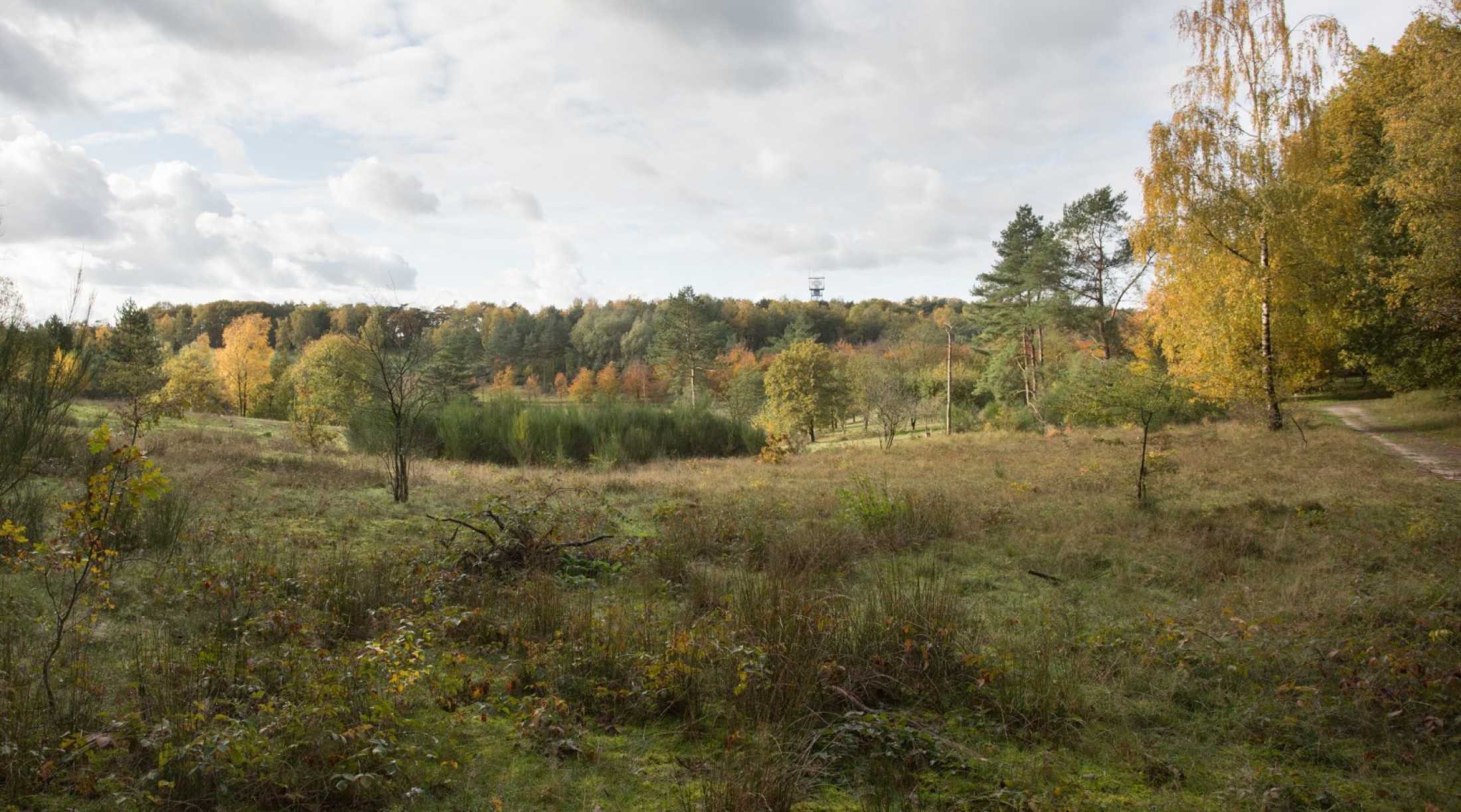 Natuur op Landgoed De Paltz