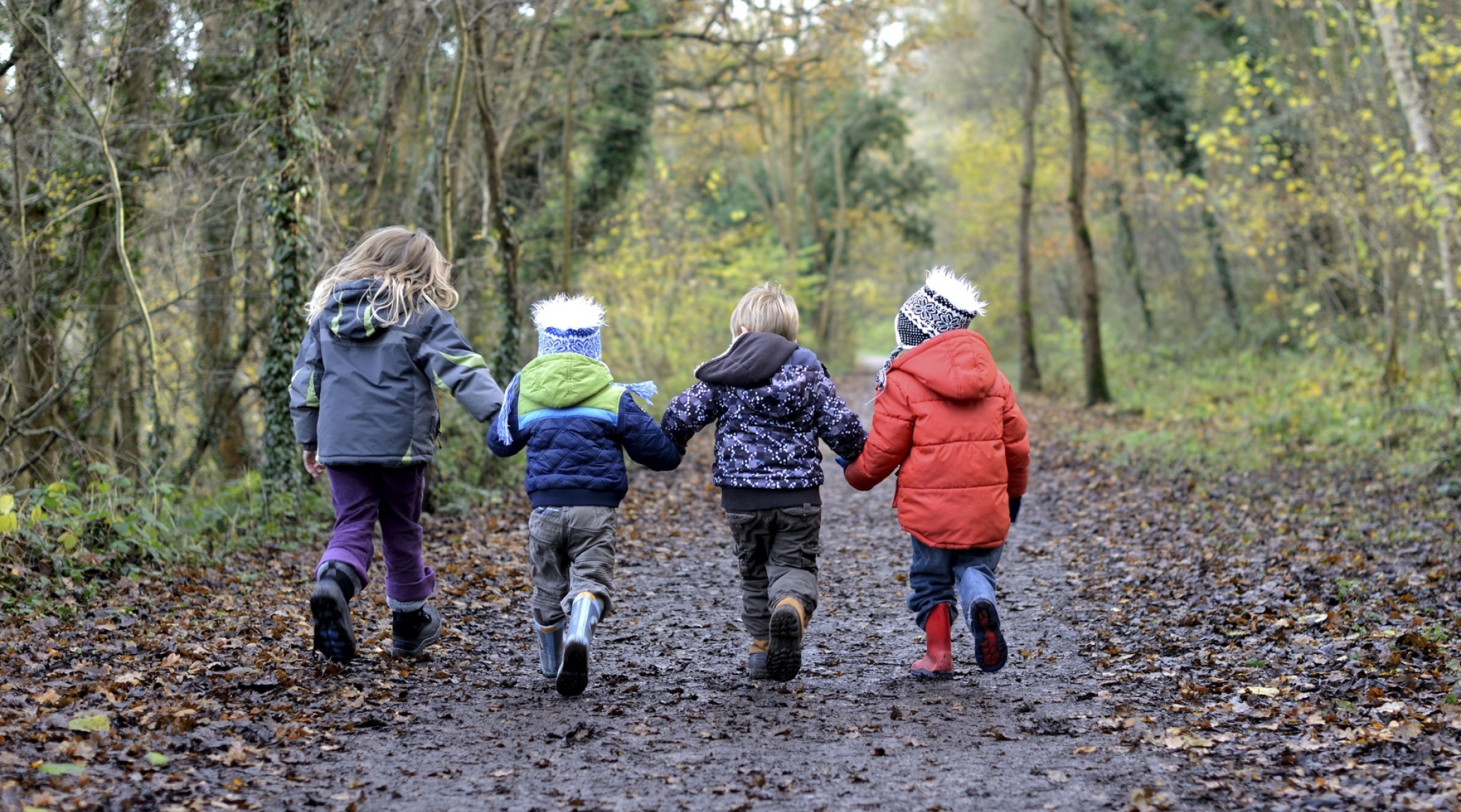 Kleine kinderen lopen hand in hand door het bos