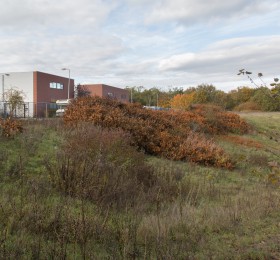 Bedrijventerrein Fornhese 1 Fotograaf Barbara Vreekamp2