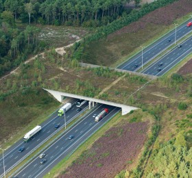 ecoduct Leusderheide