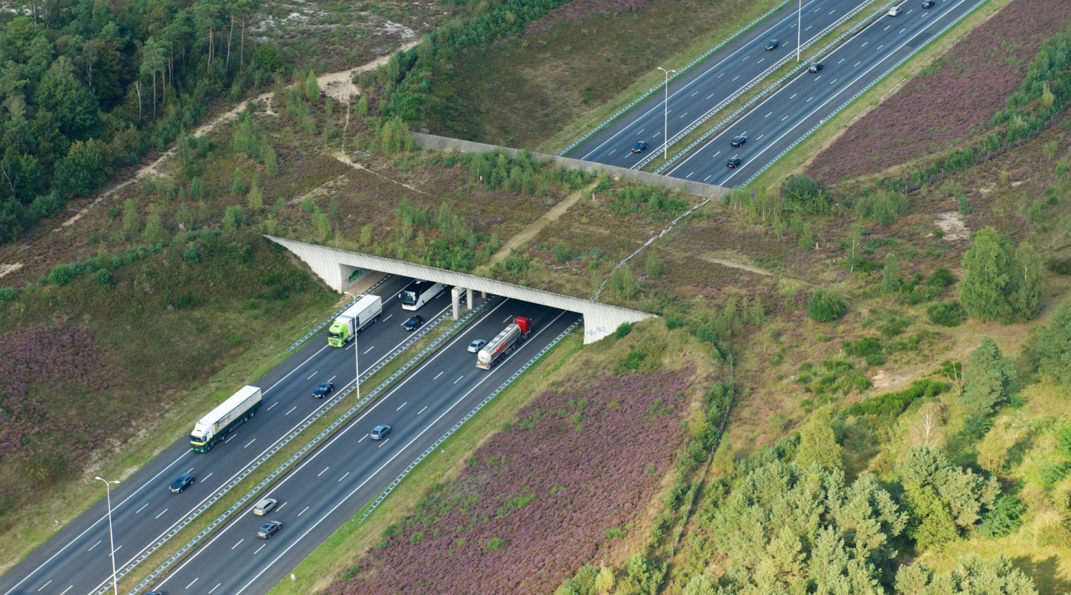 Luchtfoto Ecoduct Leusderheide