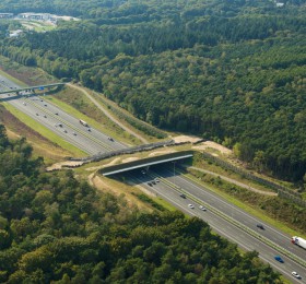 ecoduct Sterrenberg 1