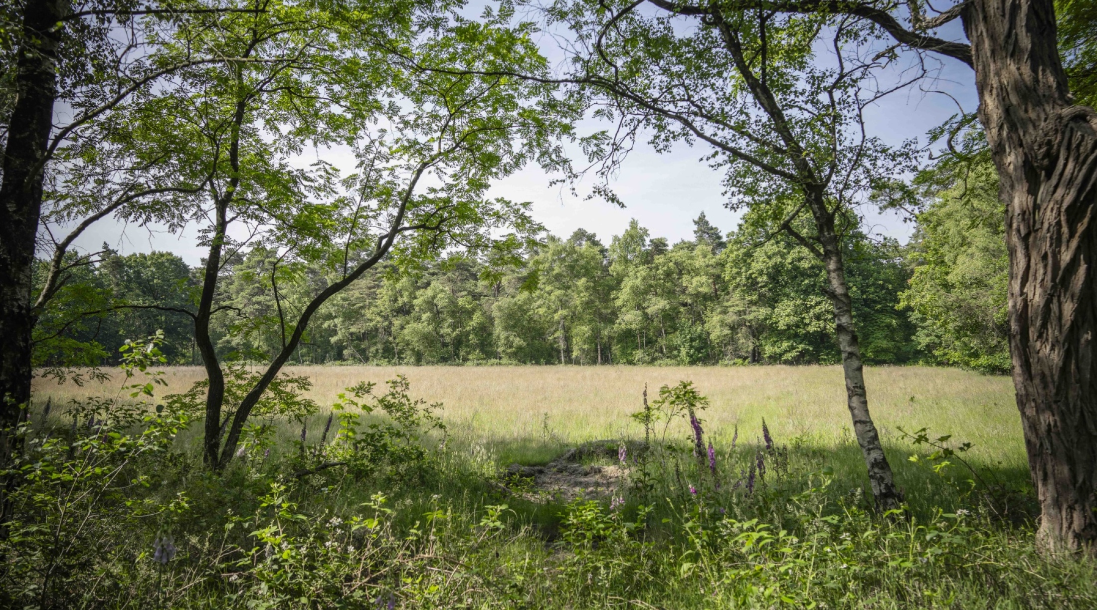 Het oude honkbalveld, een van de buitenlocaties waar militairen konden sporten.